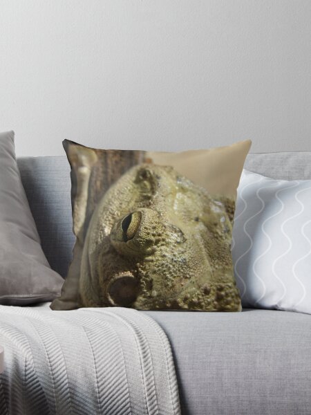 Froggy Mc Toaderson Throw Pillow