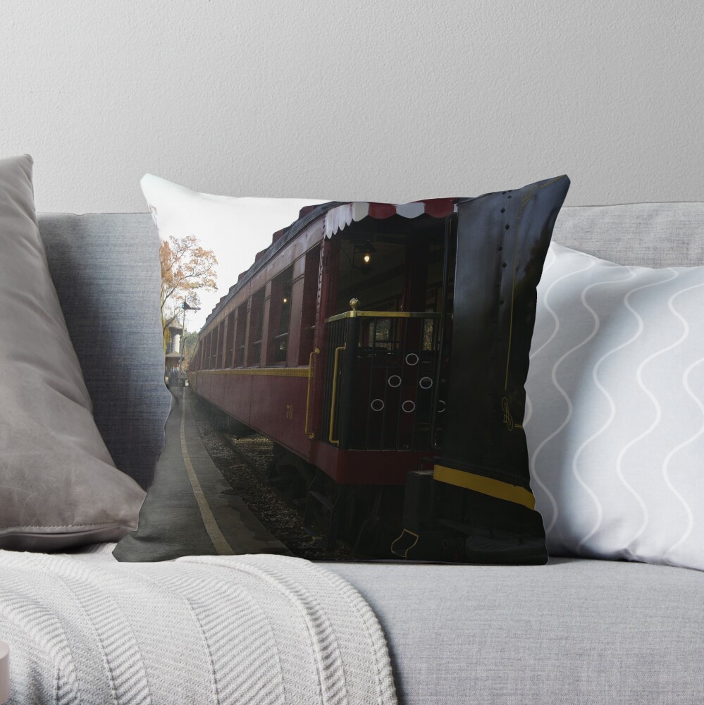 Texas Railroad Throw Pillow