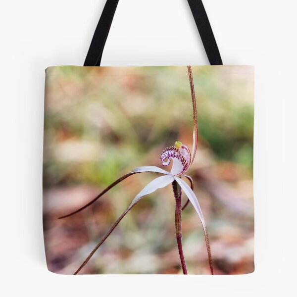 Item preview, Inverleigh Spider Orchid - Arachnorchis sp aff fragrantissima designed and sold by Paul Piko.