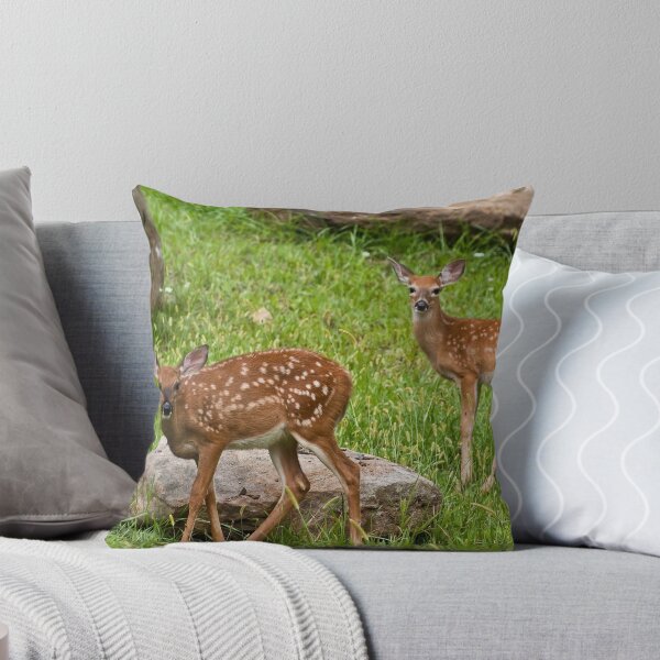 Item preview, Two Fawns designed and sold by LeeAnne Emrick.