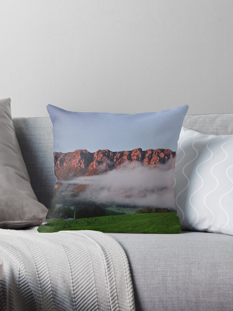 Throw Pillow, Emerging designed and sold by Tim Wootton