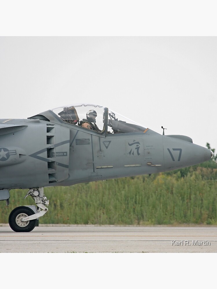 Harrier by SirEagle
