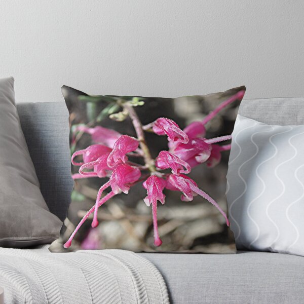 Artikelvorschau, Spider Flower- Grevillea lavandula entworfen und verkauft von Michael Tapping.