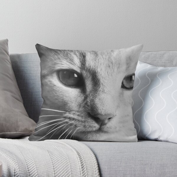 Noah Throw Pillow