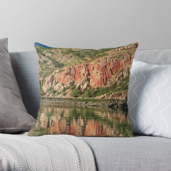 Reflections. Throw Pillow