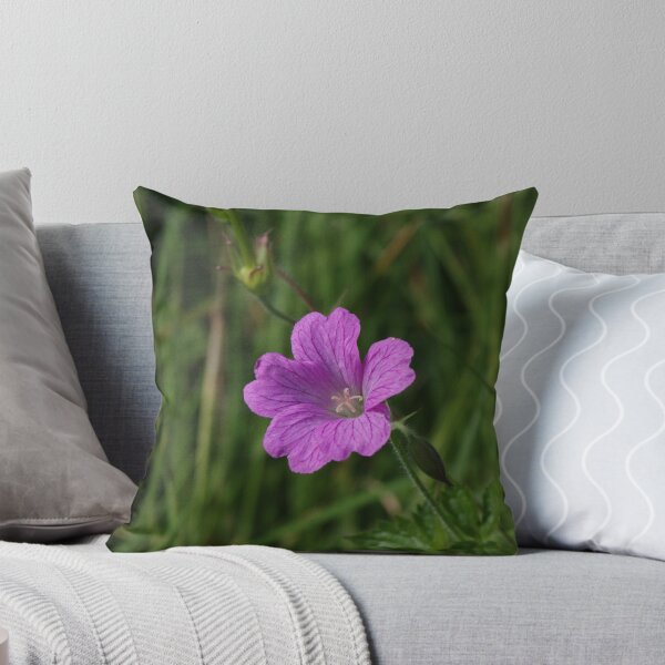 Item preview, Druces Cranesbill Geranium-x-Oxonianum designed and sold by Richard Hanley.