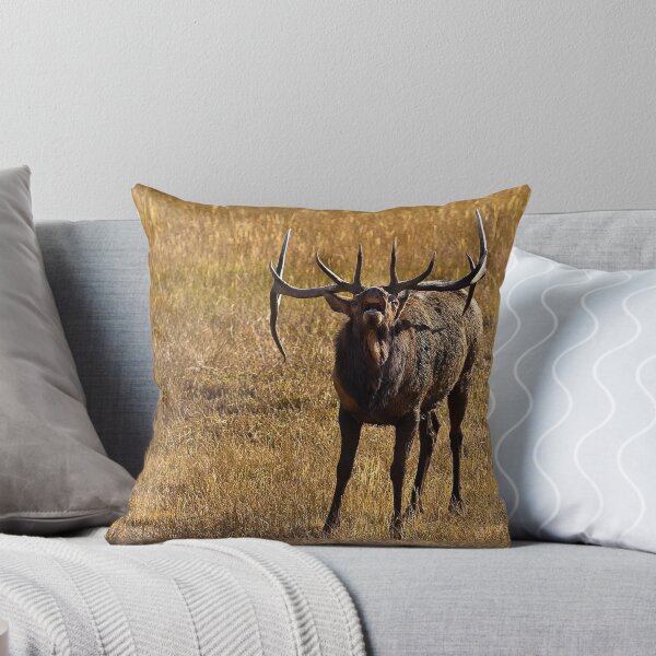 Item preview, Challenged designed and sold by Jay Ryser.