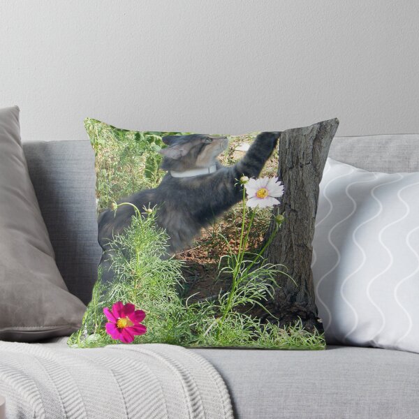 Item preview, Scratching designed and sold by R&PChristianDesign &Photography.