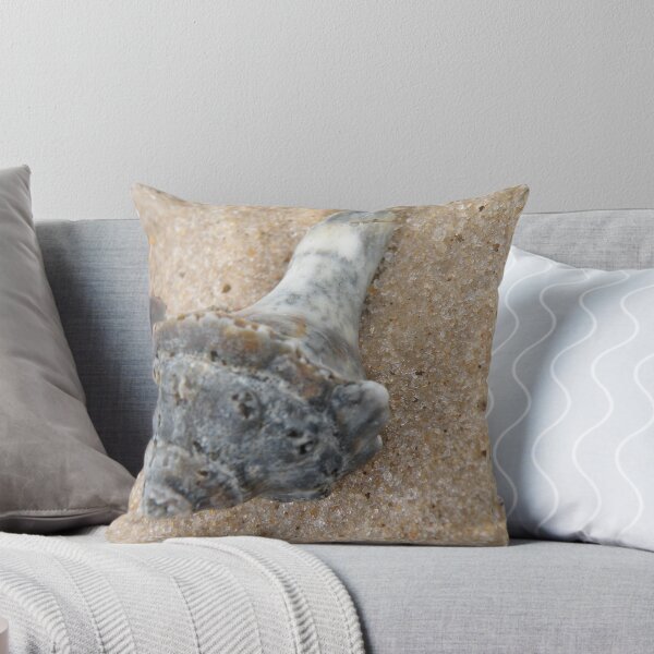 Item preview, Sea Shell designed and sold by Lauryn1727.