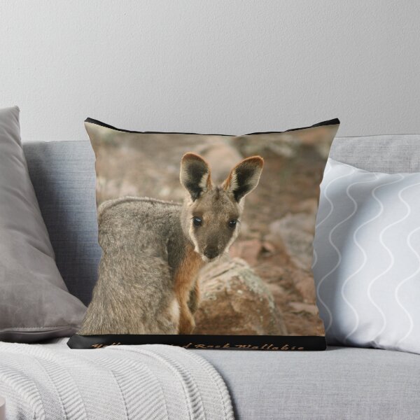 Artikelvorschau, Yellow Footed Rock Wallabie entworfen und verkauft von Robert-Irvine.