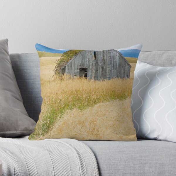 Broke Down Beauty, a.k.a. the Butt of the Barn Throw Pillow