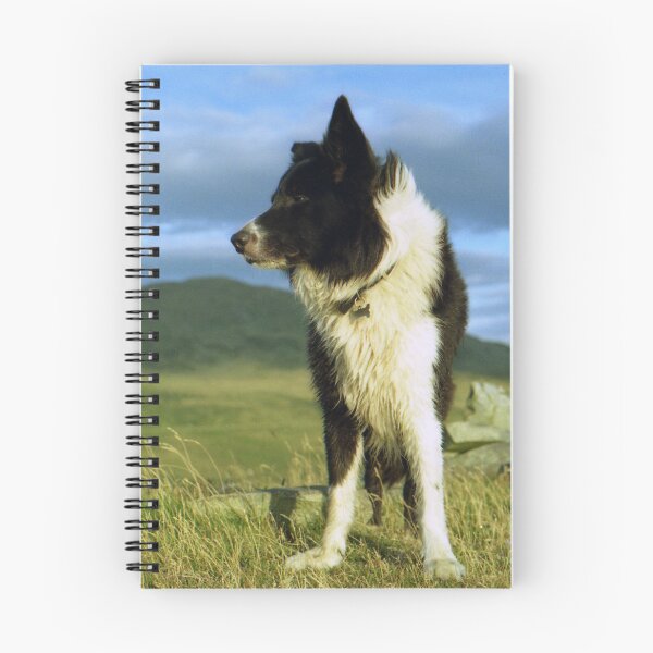 Item preview, Above the hills with Indy designed and sold by Michael Haslam.