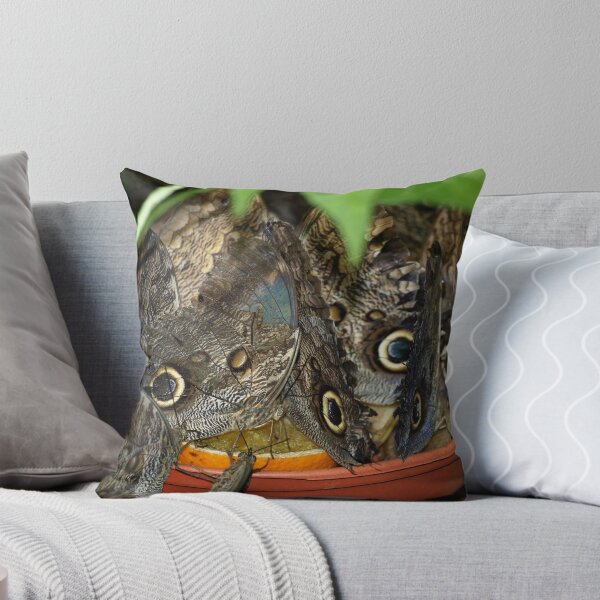 'The Owl Butterfly' family feeding Throw Pillow