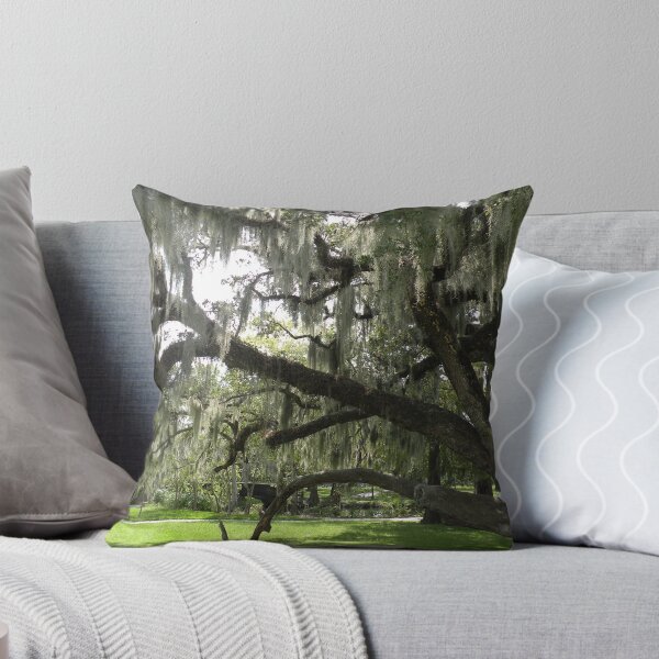 Item preview, Live Oaks, City Park, New Orleans designed and sold by WonderlandGlass.