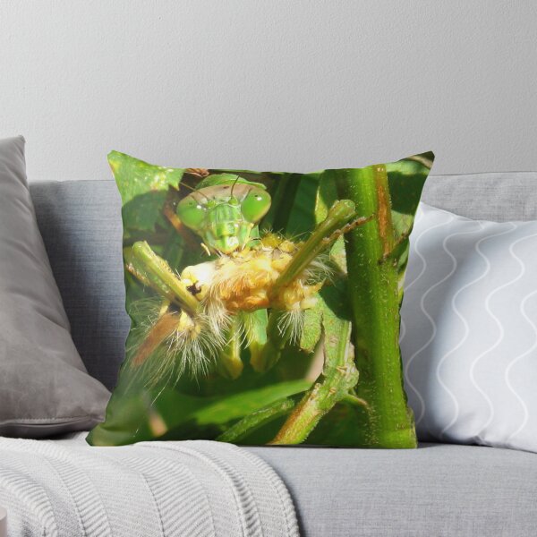 Item preview, Ugly Lunch designed and sold by CynLynn.