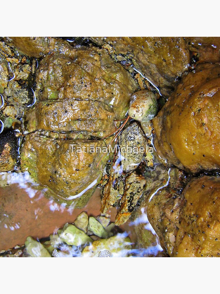 Thumbnail 4 of 4, Pillow, GAME OF STONES IN THE SEA designed and sold by TatianaMichaela.