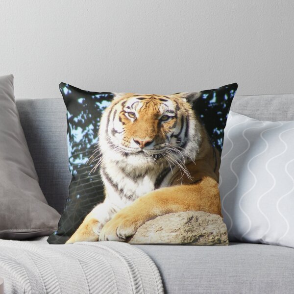 Item preview, Aren't I a handsome boy! designed and sold by Jonathan France.