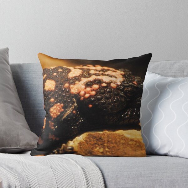 Item preview, Sleeping Monster designed and sold by Freese.