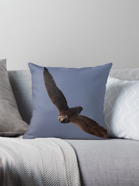 Aperçu de l'œuvre  aussi épeautre gerfalcon créée et vendue par Anne-Marie Bokslag.