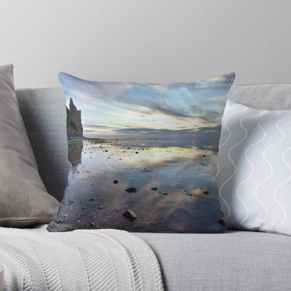 Castle View Throw Pillow