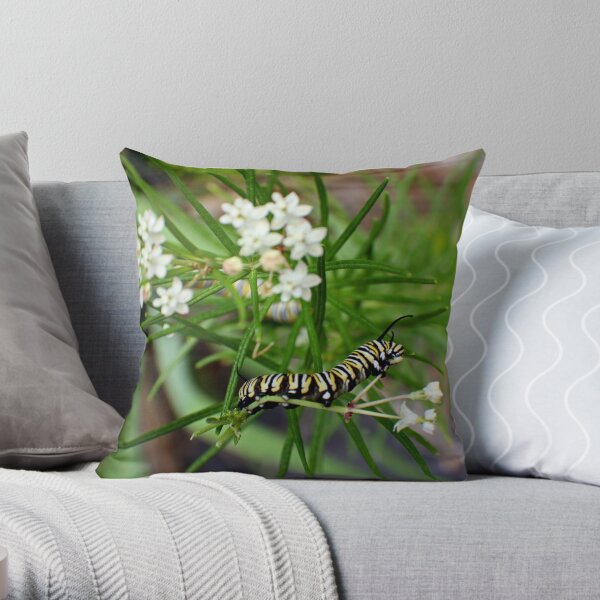 Monarch Caterpillar - 11 Throw Pillow