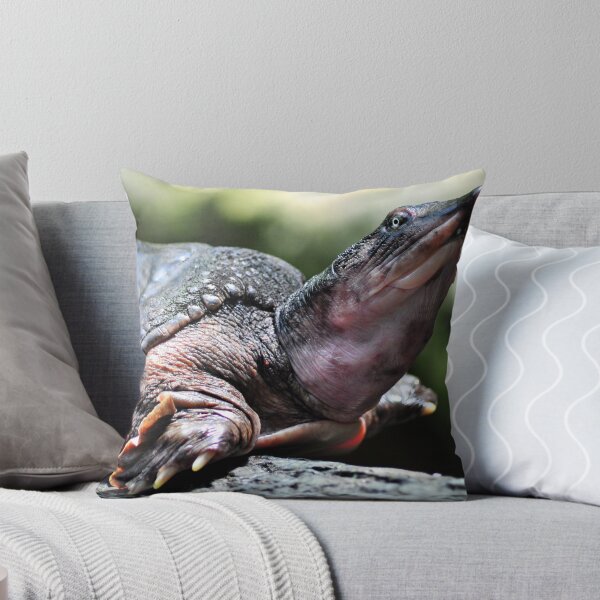Item preview, Weird Turtle designed and sold by alanbrito.