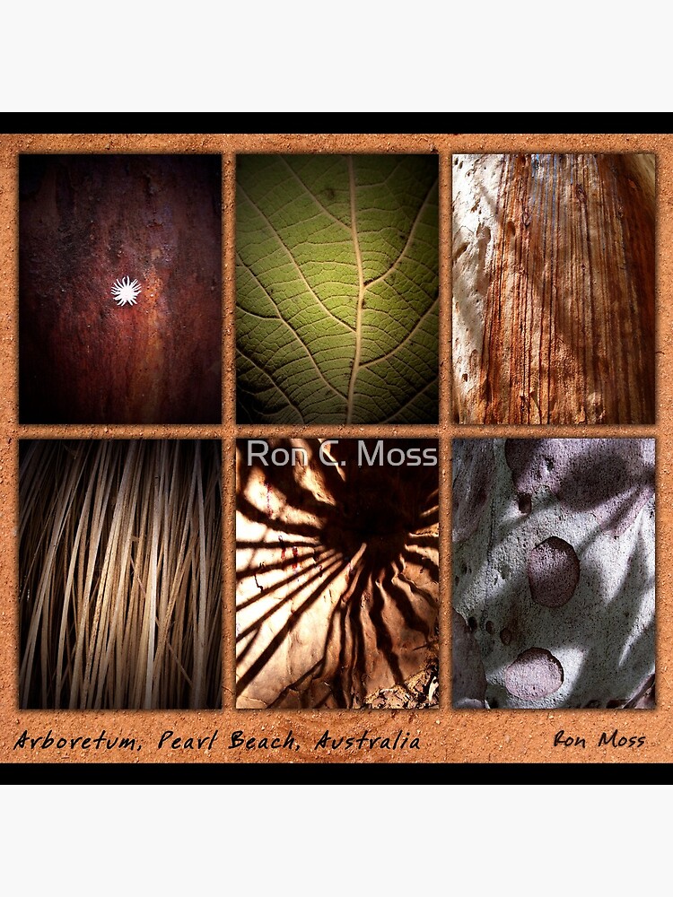 Thumbnail 4 of 4, Pillow, SHADOW GUMS designed and sold by ronmoss.