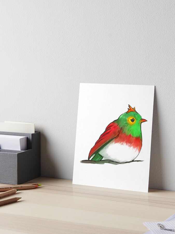 Robin Bird Stylized Like Hawlucha Pokemon Art Board Print By Carlotta986 Redbubble