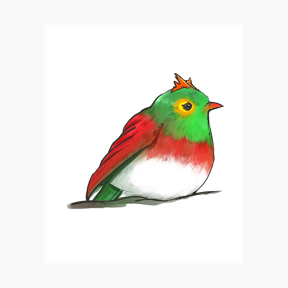 Robin Bird Stylized Like Hawlucha Pokemon Metal Print By Carlotta986 Redbubble