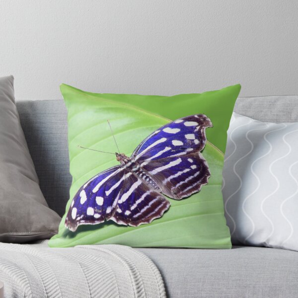 Item preview, Butterfly March designed and sold by noffi.