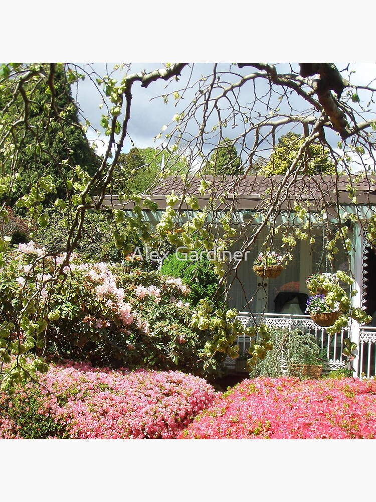 Thumbnail 4 of 4, Pillow, Introducing Leura Gardens~bd12 designed and sold by windana1.