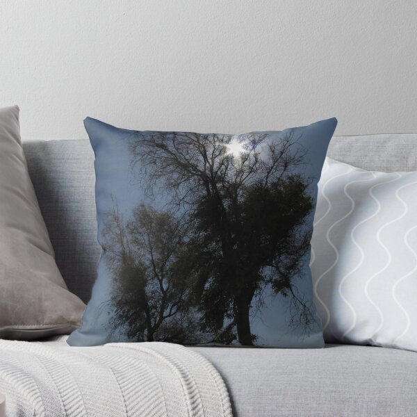 Item preview, Sun trap designed and sold by Hélène David-Cuny.