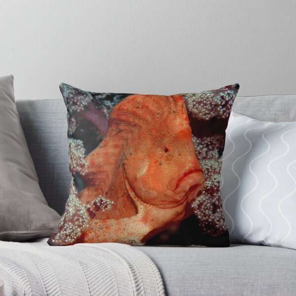 Item preview, Hail to the Chief - Red Indianfish designed and sold by daveharasti.