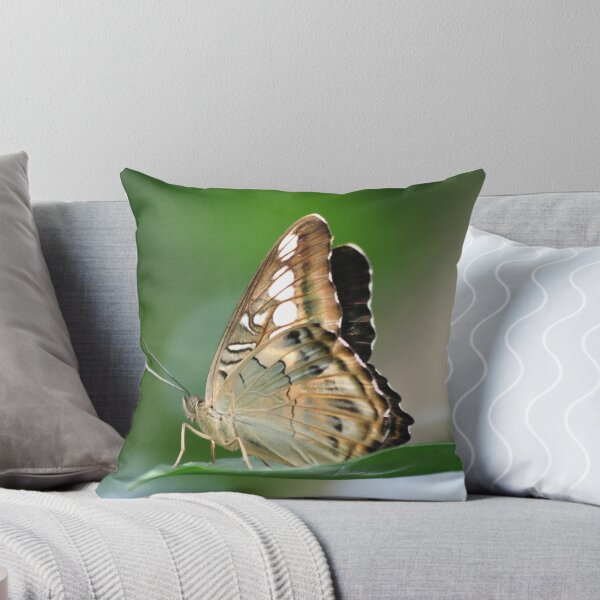 Item preview, Butterfly May designed and sold by noffi.