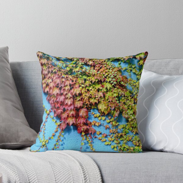 Item preview, Let me creep over you. designed and sold by Karen  Betts.