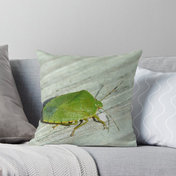 Item preview, 101009-113   A GREEN STINKBUG designed and sold by MICKSPIXPHOTOS.