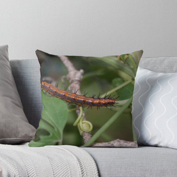 Item preview, Gulf Fritillary Caterpillar designed and sold by TxGimGim.
