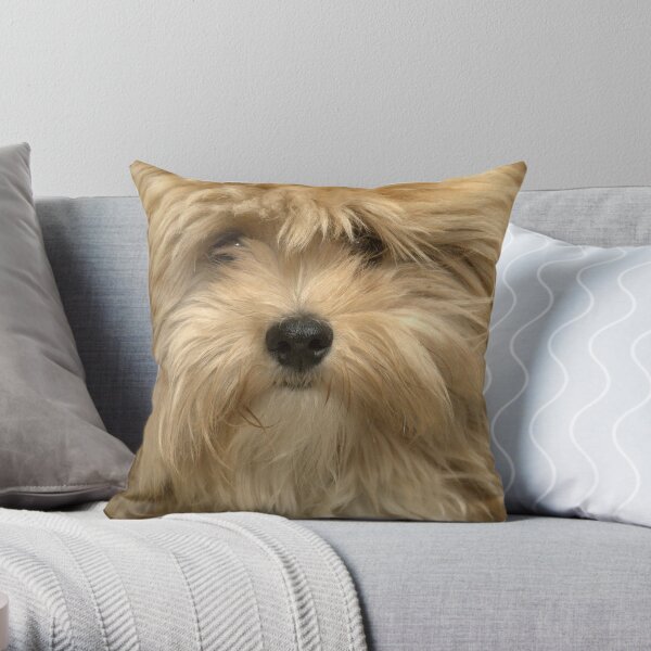 Gizmo Throw Pillow