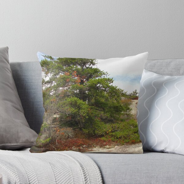 Item preview, The Mysterious Jack Pine designed and sold by maxy.