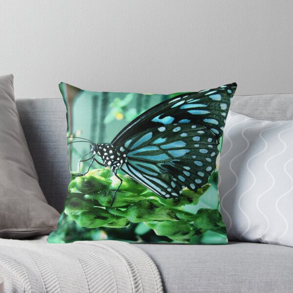 Aperçu de l'œuvre Zebra Butterfly créée et vendue par " RiSH ".