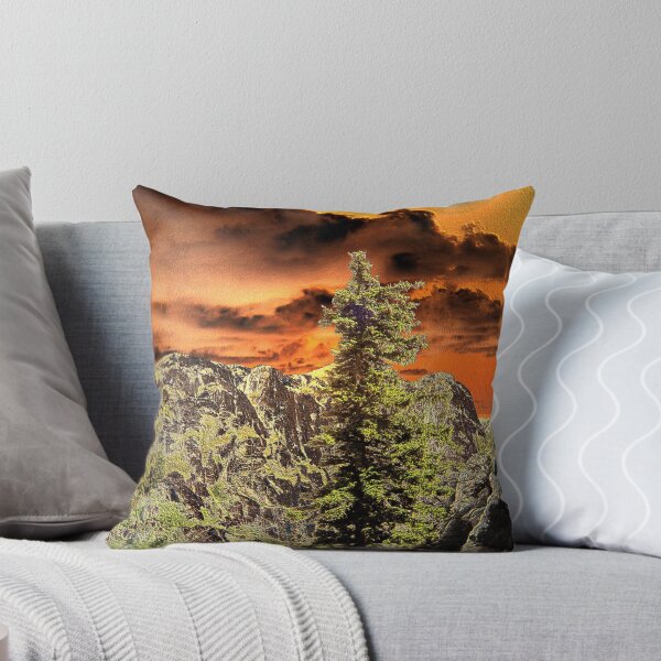 WIND OF CHANGE Throw Pillow