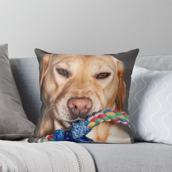 Item preview, Its mine and your not getting it!! designed and sold by Paul Messenger.