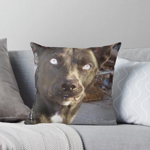 Item preview, Whoa! What's going on here? designed and sold by JANET SUMMERS.