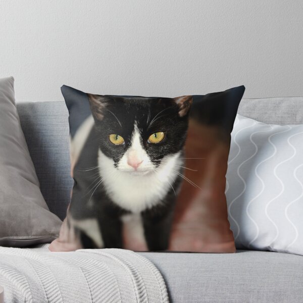 Item preview, Poekie designed and sold by AJPPhotography.