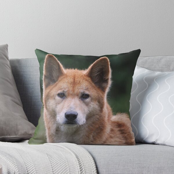 Item preview, Dingo designed and sold by DanielTMiller.