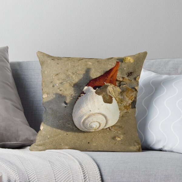 Item preview, Beach shell designed and sold by David Lee Thompson.