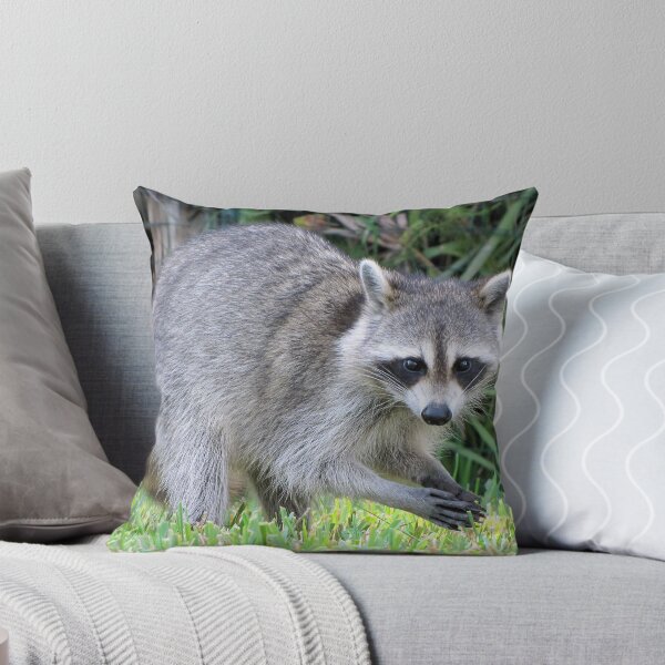 Item preview, Got Any Food? designed and sold by MichelleR.