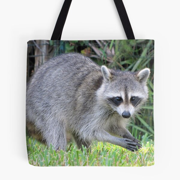 Item preview, Got Any Food? designed and sold by MichelleR.