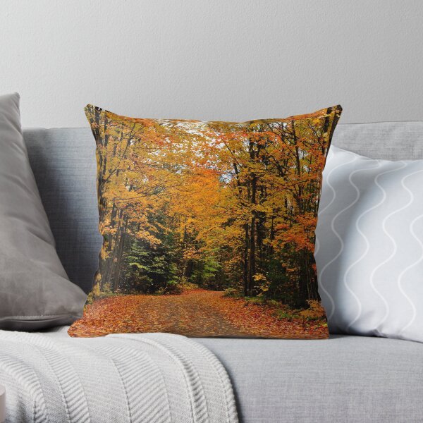 Oxtongue River Road Throw Pillow