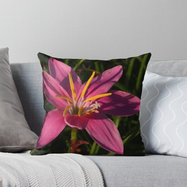 Item preview, Morning bloom 2 designed and sold by Philip Alexander.